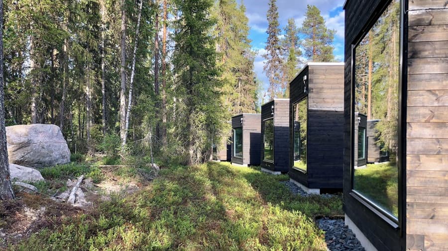 Vaattunki Wilderness Resort