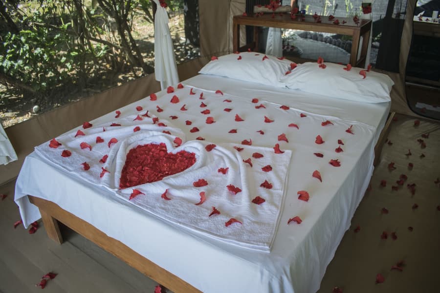 La Leona Eco Lodge