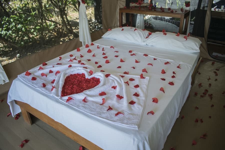 La Leona Eco Lodge