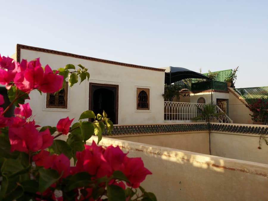 Riad Puchka