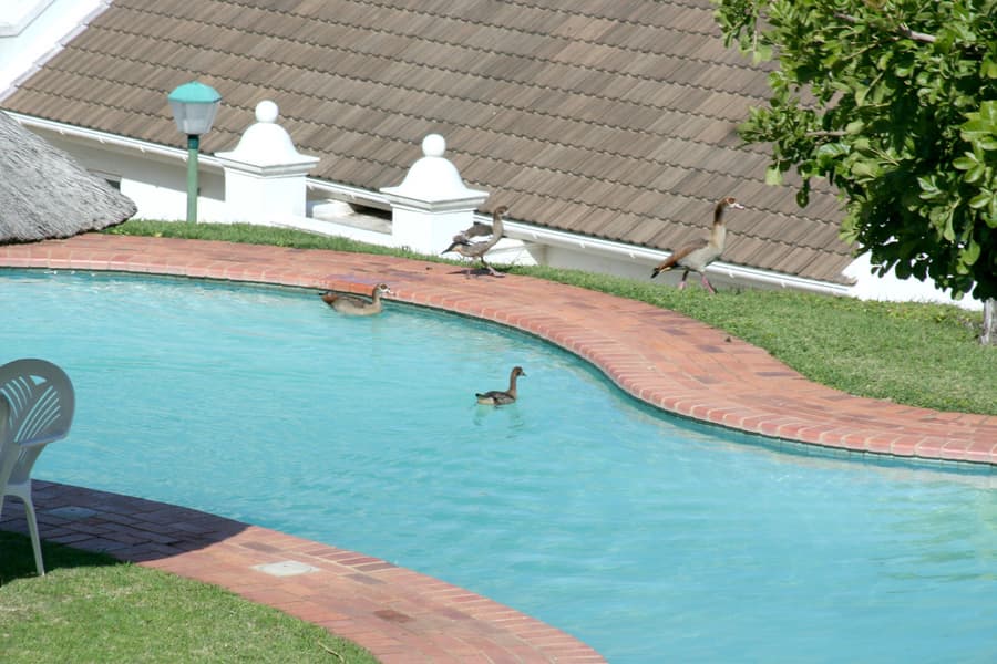 The Estuary Hotel and Spa