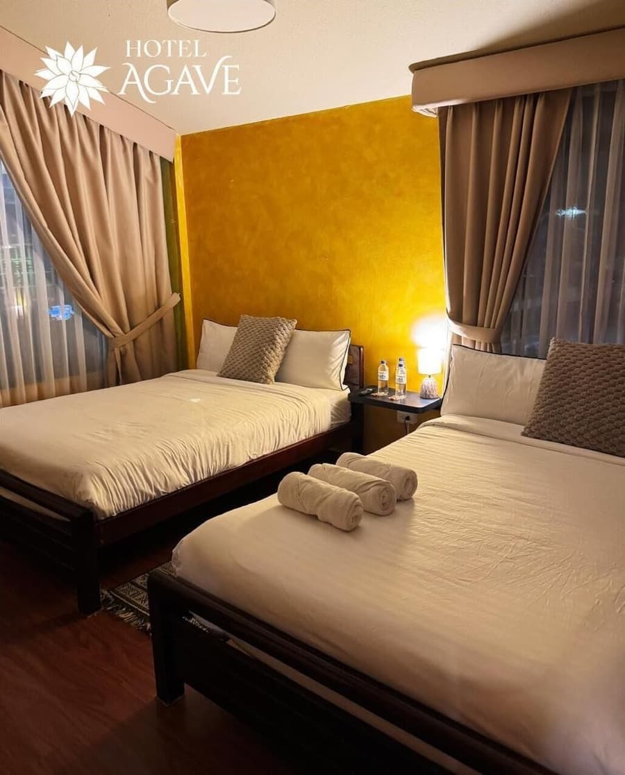 Hotel Casa Agave