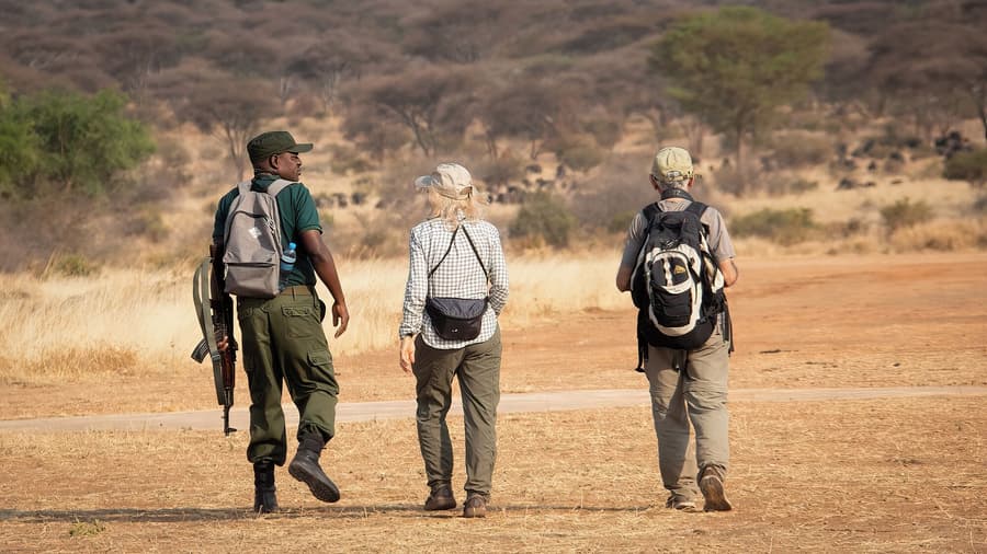Tarangire Greenland Retreat