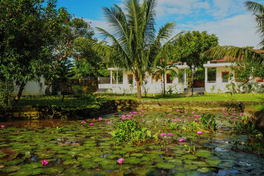 Yng - Luxor Resort Phu Quoc