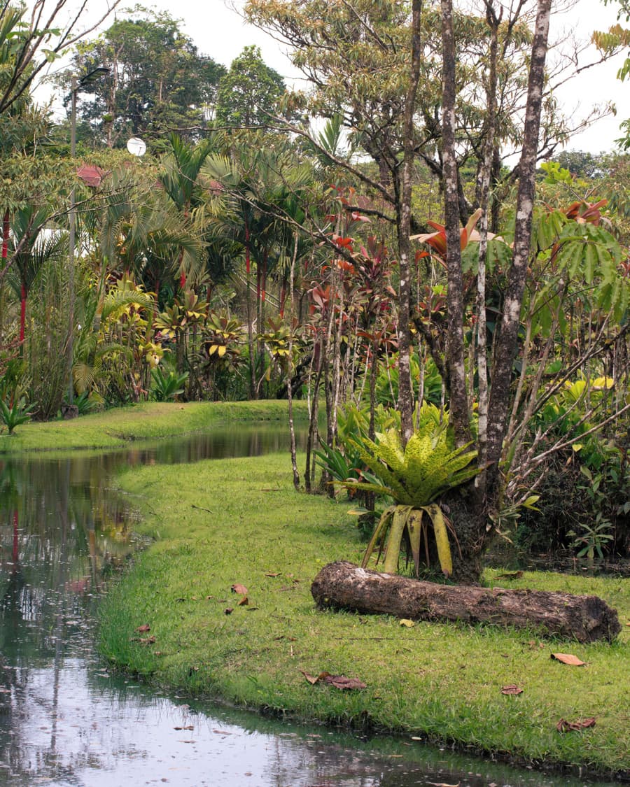 Cabañas Los Laguitos