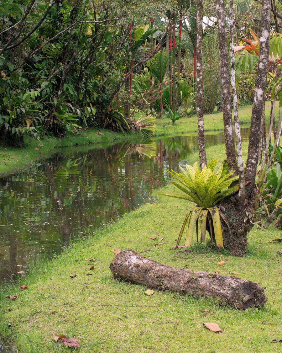 Cabañas Los Laguitos