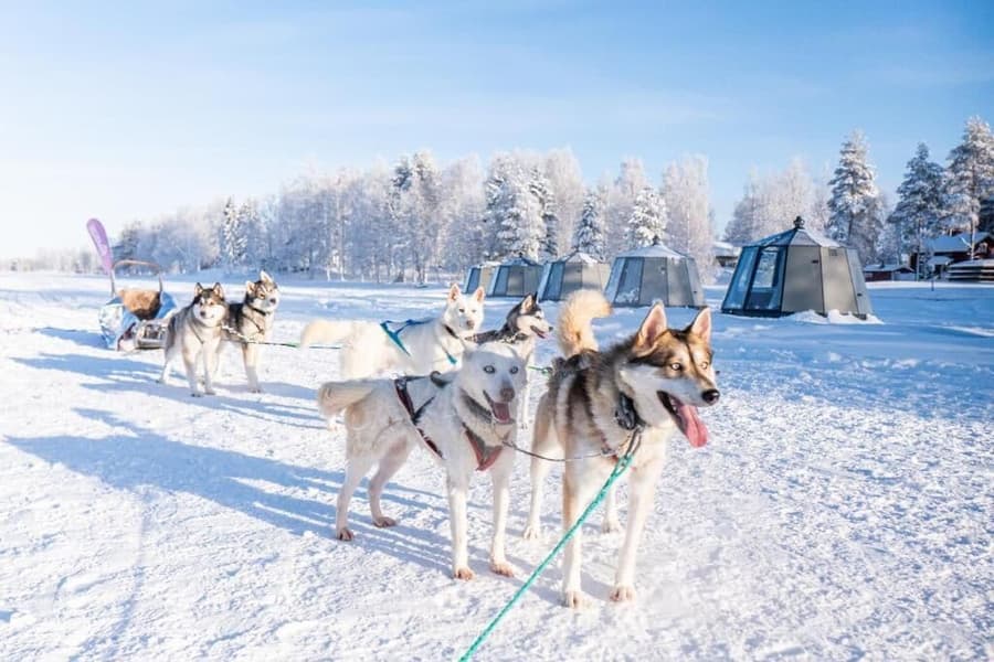Aurora Lake Lodges Ranua