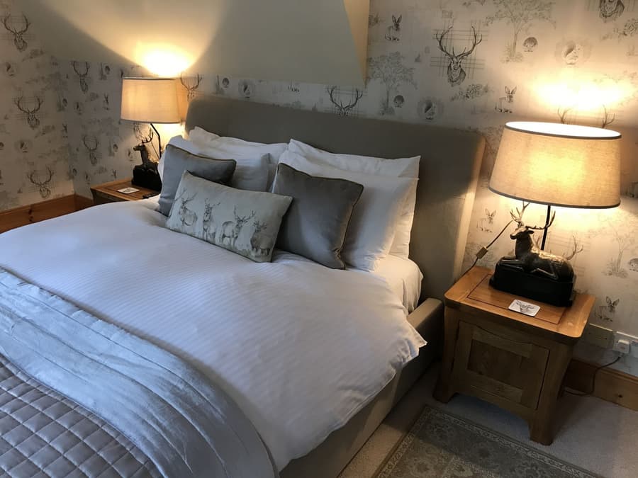Highland Bear Lodge & Woodland Bear Huts