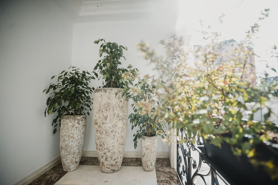 Lot Boutique Hotel
