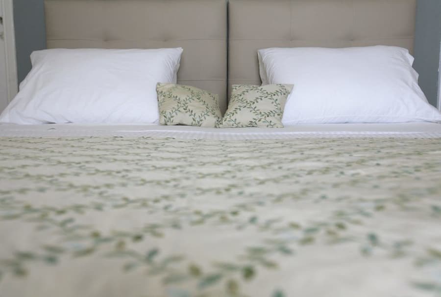 Hotel Theoxenia