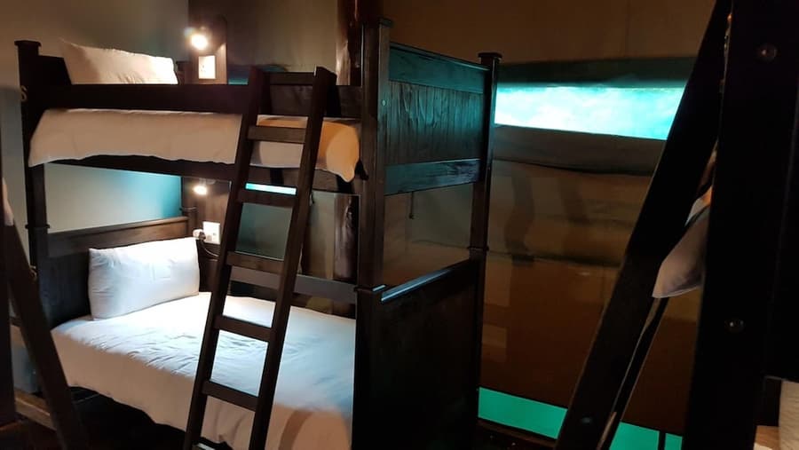 Budget Tented Village at Urban Glamping - Hostel