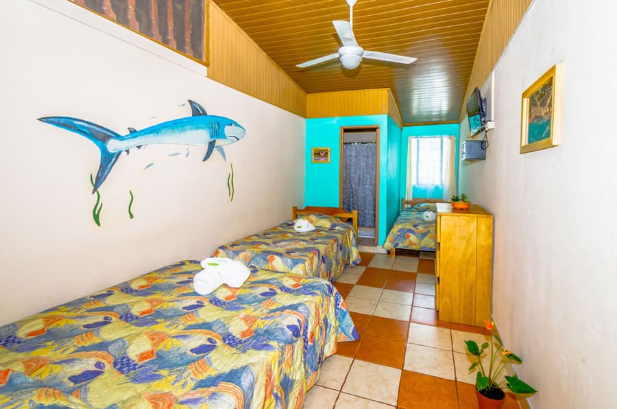 Blue Iguana