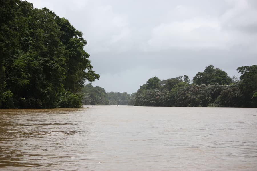Foresta Lodge