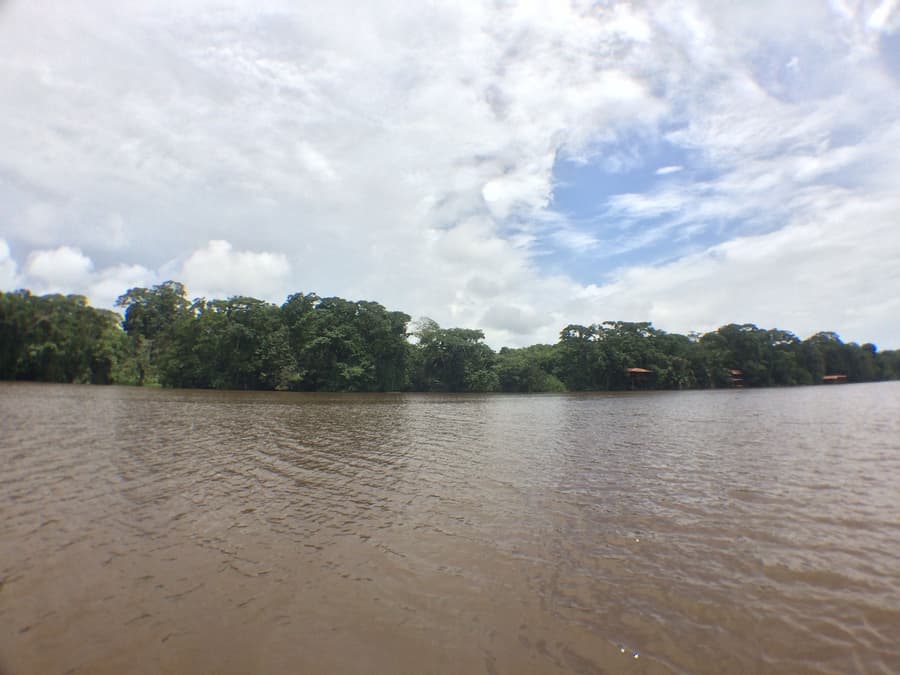 Foresta Lodge