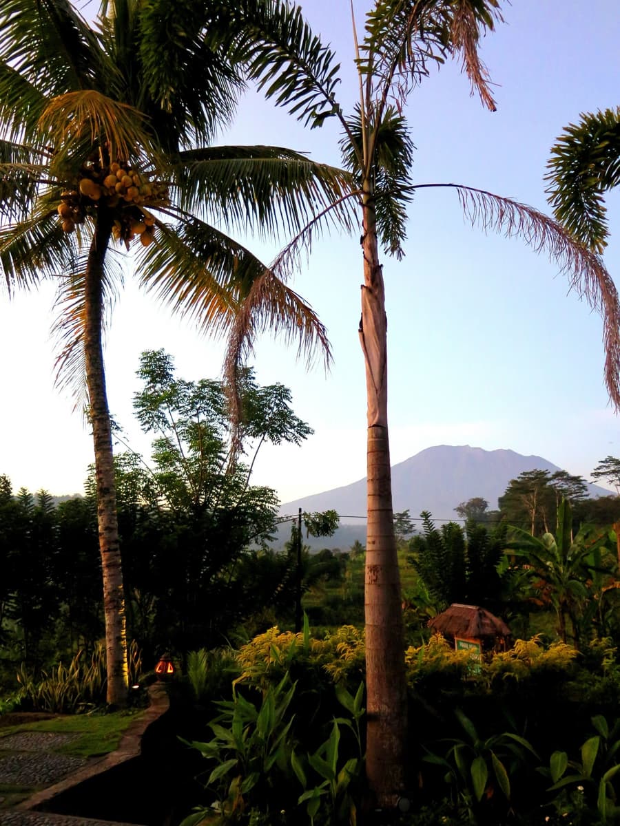 Villa Lihat Sawah