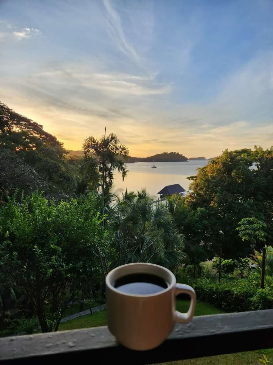 Seagull Cove Resort