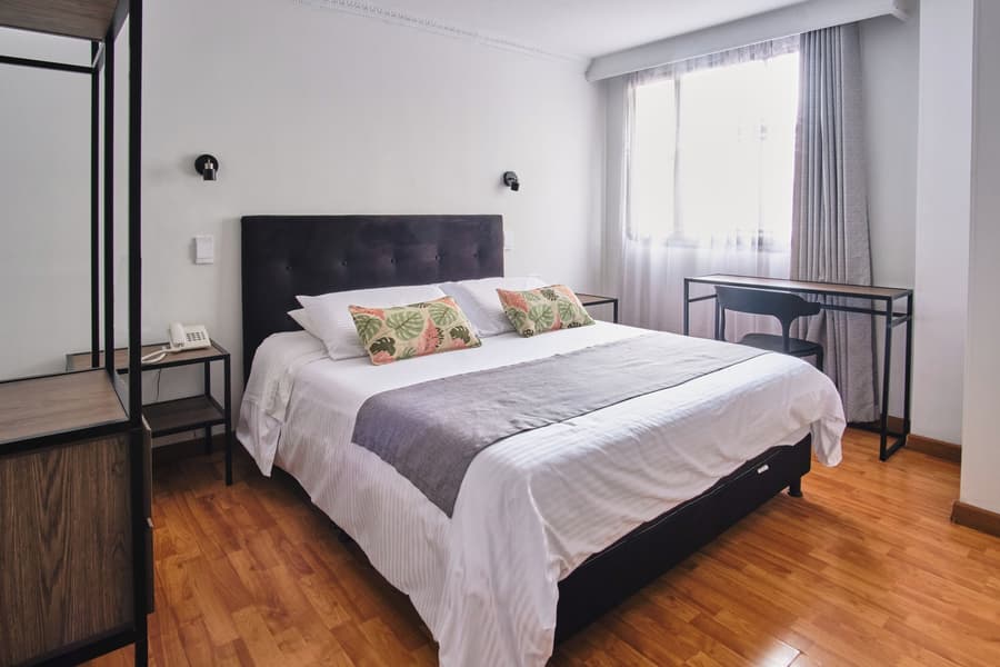 Hotel Virrey Central