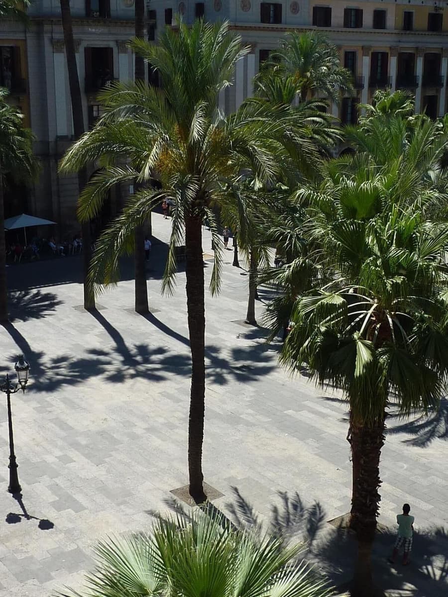 Hotel Roma Reial