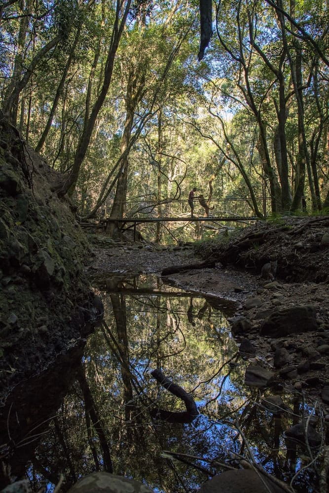 Woodlands Self Catering, Knysna