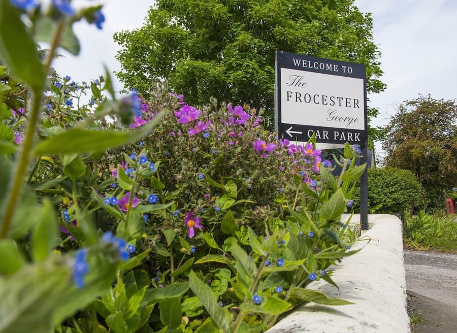 The Frocester