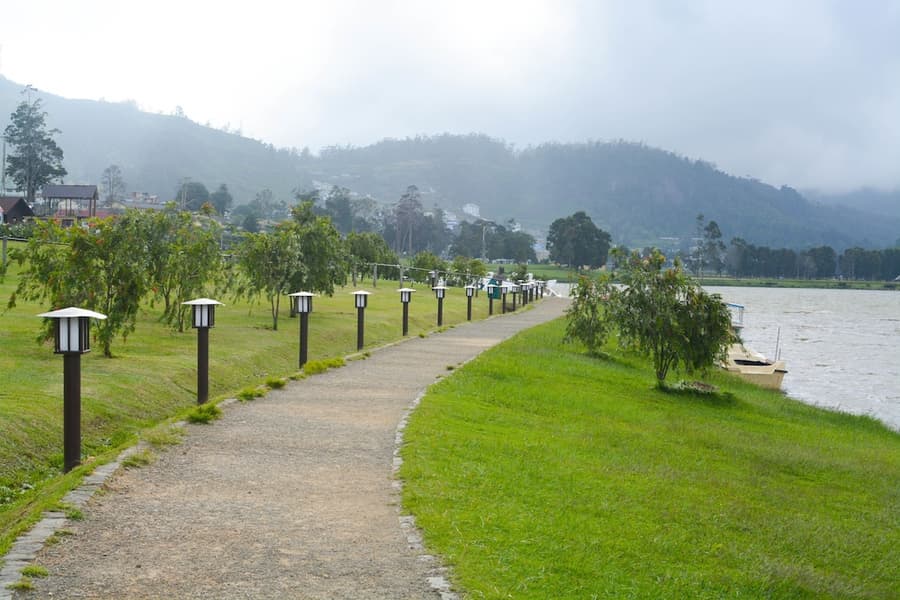The Tea Garden