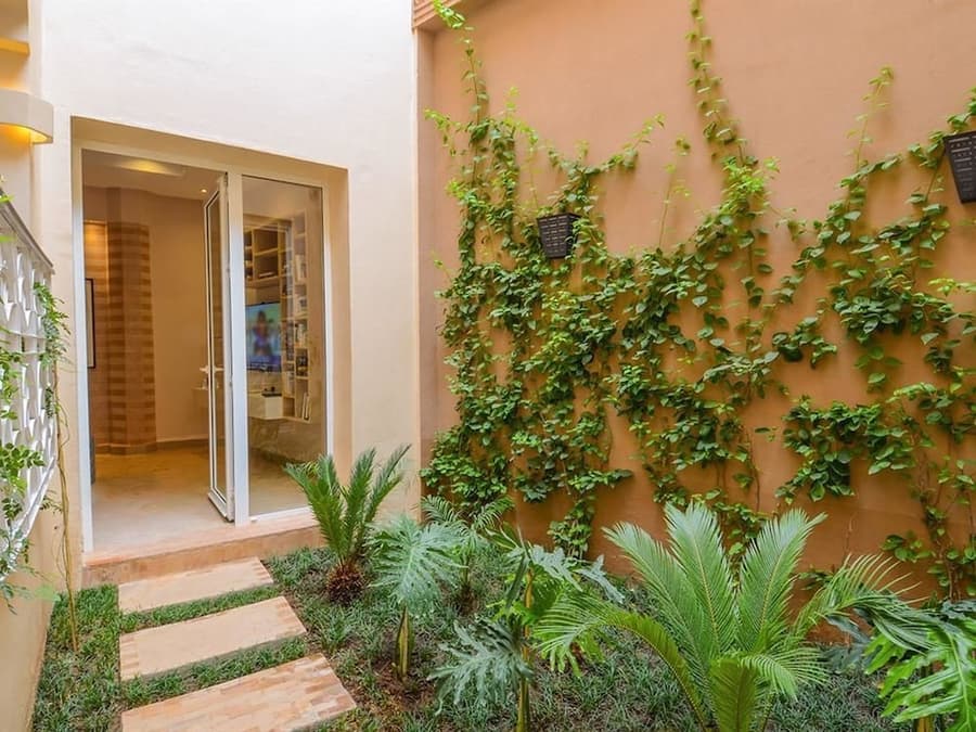 Riad Ayni