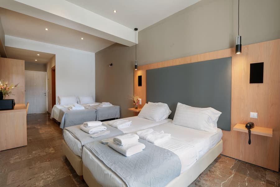 Hotel Punta