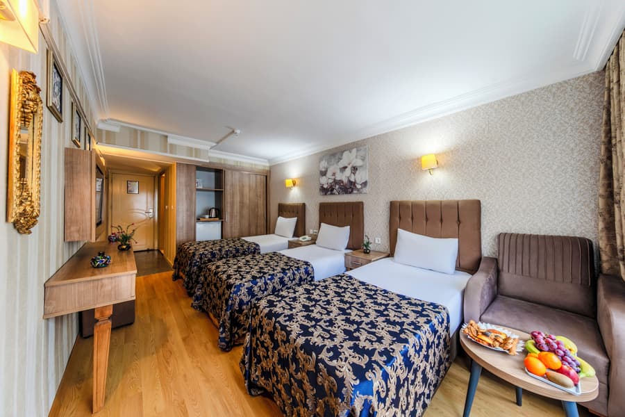 Hamit Hotel İstanbul - Special Category