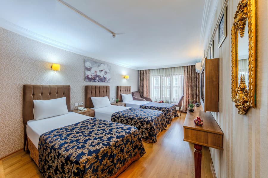 Hamit Hotel İstanbul - Special Category