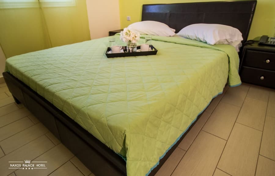 Naxos Palace Hotel