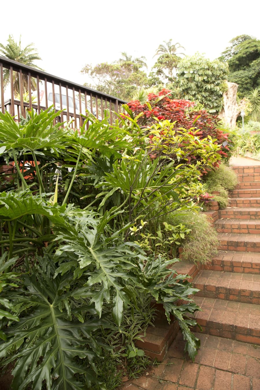 Ridgeview Lodge