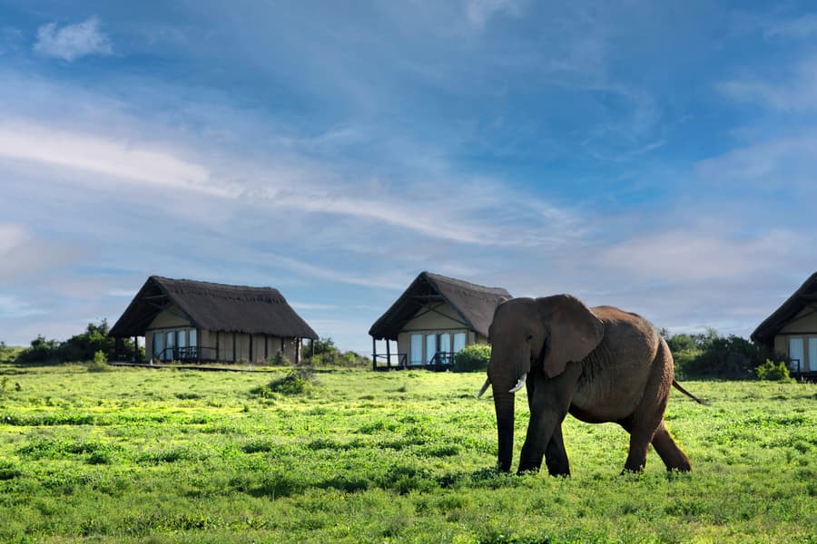 Gorah Elephant Camp