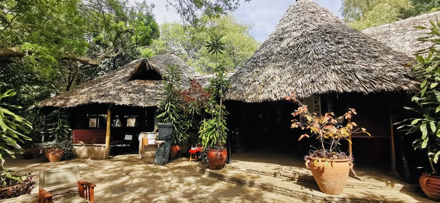 Fig Tree Camp