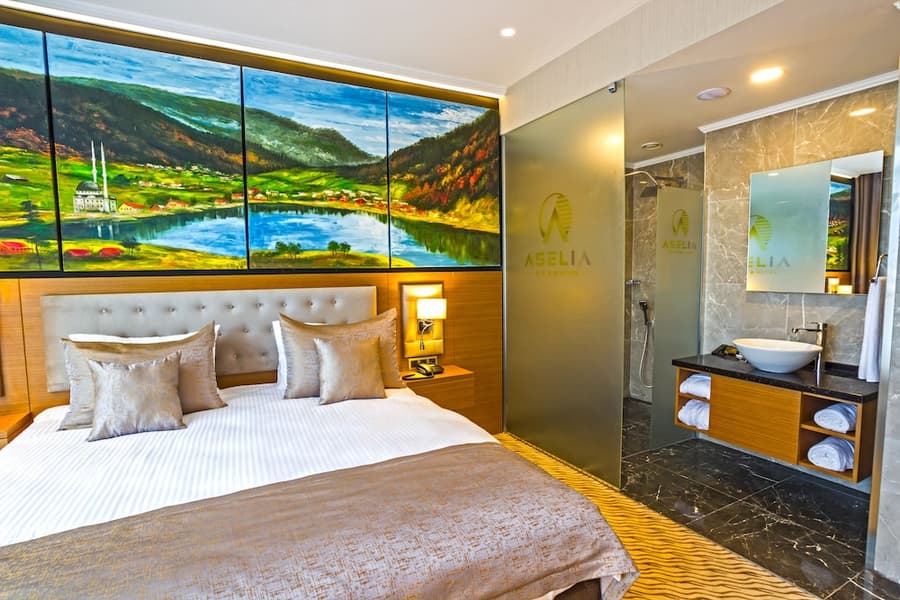 Aselia Hotel Trabzon