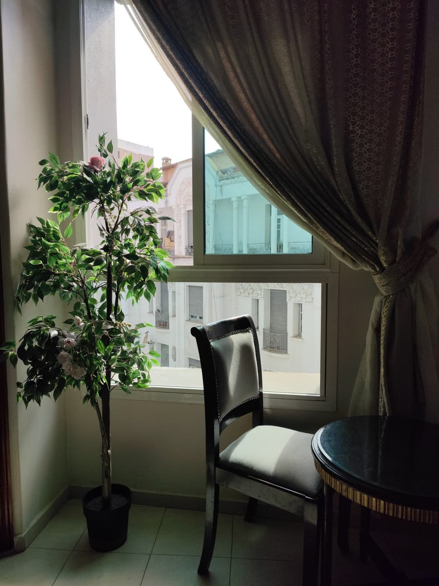 Hotel Maamoura