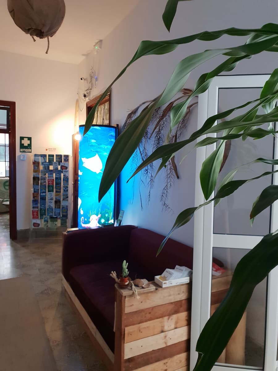 Cactus Host