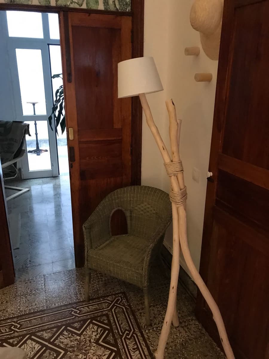 Cactus Host