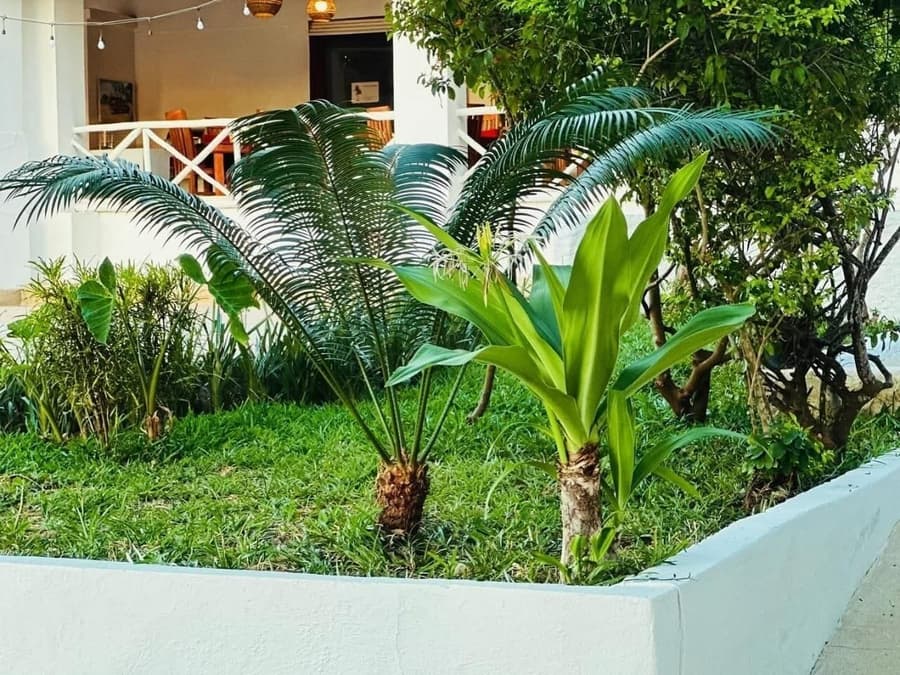 Pemba Paradise