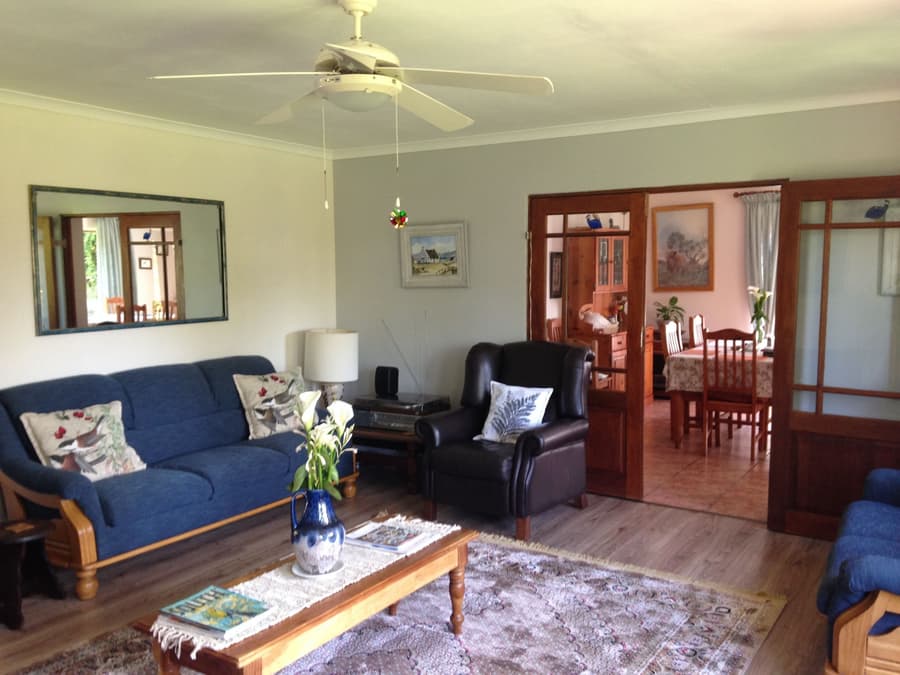 Blue Fern of Knysna