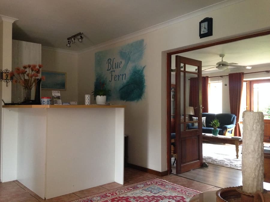 Blue Fern of Knysna