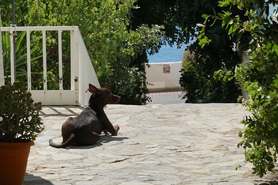 Galini Mare