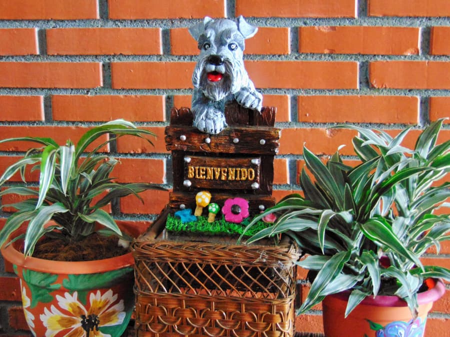 Casa Lima Bed & Breakfast
