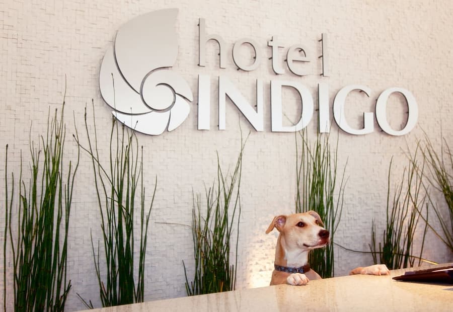 Hotel Indigo San Diego-Gaslamp Quarter by IHG