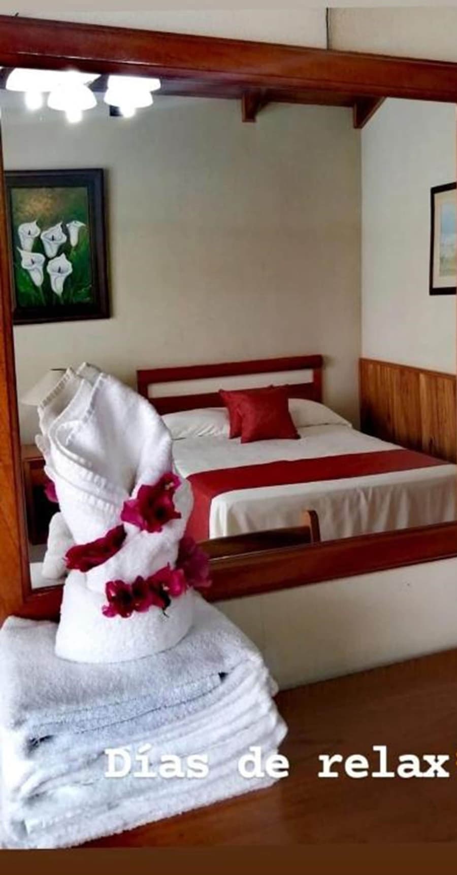 Hotel Amapola Resort