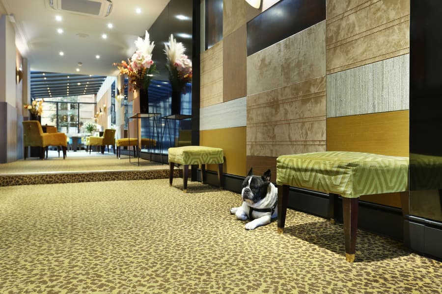 Hotel Concortel