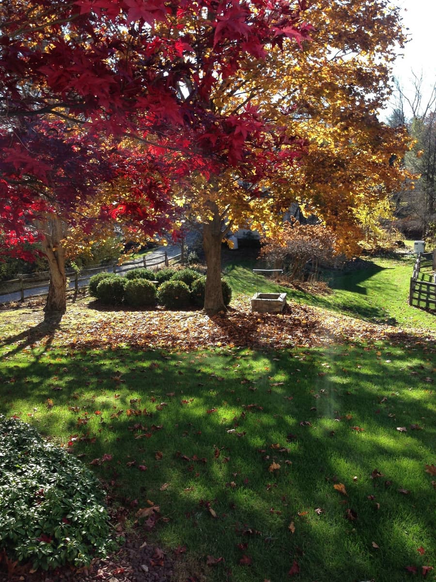The Stockbridge Country Inn Closest B&B to Norman Rockwell Museum and Chesterwood