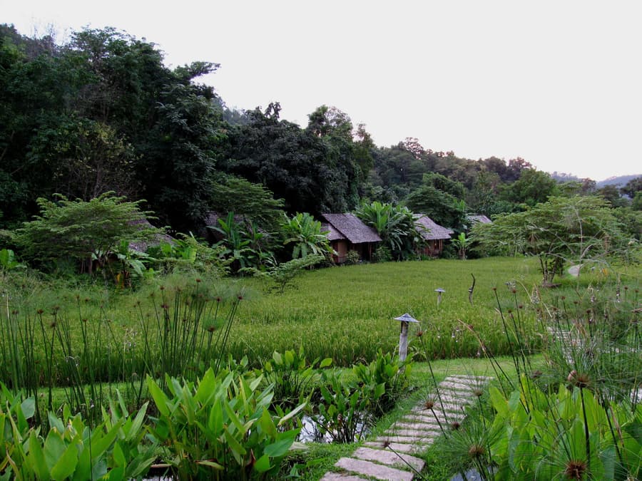 Fern Resort