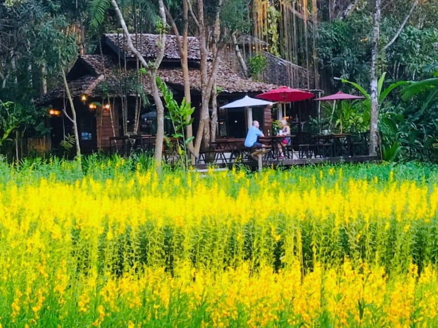 Fern Resort