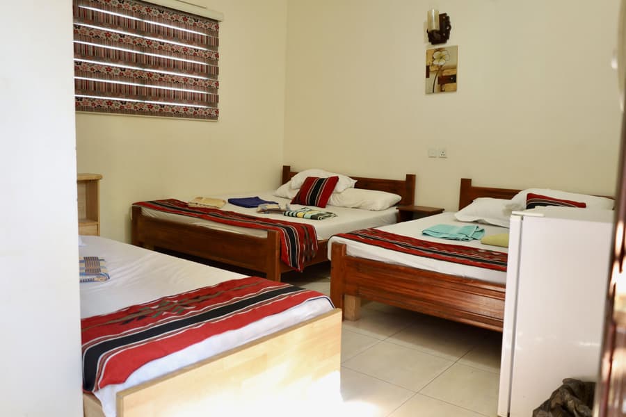 Bedouin Garden Village, Hotel Dive