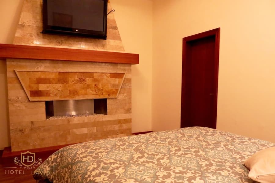 Hotel David